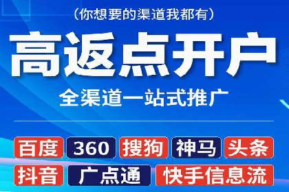 百度竞价排名案例分享：广告投放的技巧与误区