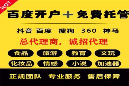 百度竞价托管外包案例：打造行业领军品牌